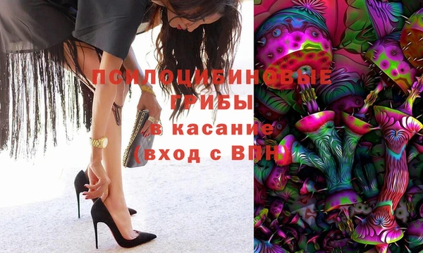 молекула духа Балахна