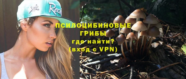 PSILOCYBIN Пересвет