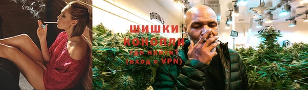 молекула духа Пестово